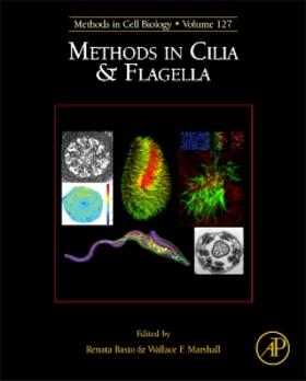  Methods in Cilia and Flagella | Buch |  Sack Fachmedien