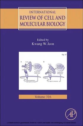 Jeon |  International Review of Cell and Molecular Biology | eBook | Sack Fachmedien