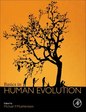 Muehlenbein |  Basics in Human Evolution | Buch |  Sack Fachmedien