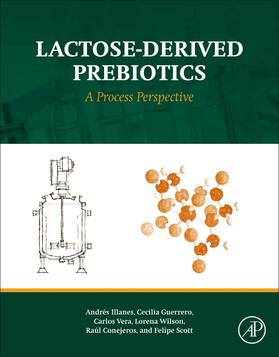 Illanes / Guerrero / Vera |  Lactose-Derived Prebiotics | Buch |  Sack Fachmedien