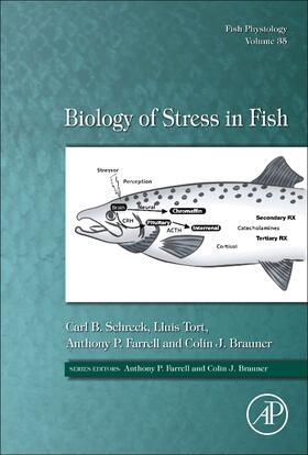 Schreck / Tort / Farrell |  Biology of Stress in Fish | Buch |  Sack Fachmedien