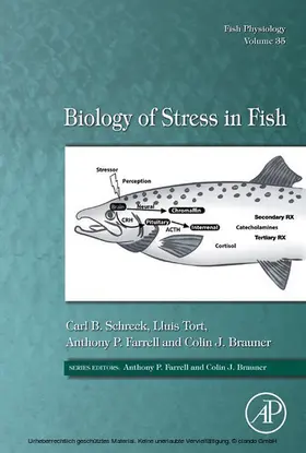 Schreck / Tort / Farrell |  Biology of Stress in Fish | eBook | Sack Fachmedien