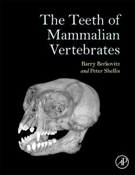 Berkovitz / Shellis |  The Teeth of Mammalian Vertebrates | Buch |  Sack Fachmedien