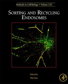  Sorting and Recycling Endosomes | Buch |  Sack Fachmedien