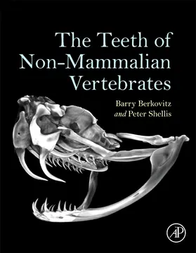 Berkovitz / Shellis |  The Teeth of Non-Mammalian Vertebrates | Buch |  Sack Fachmedien