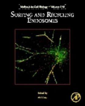 Guo |  Sorting and Recycling Endosomes | eBook | Sack Fachmedien