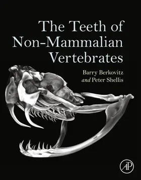 Berkovitz / Shellis |  The Teeth of Non-Mammalian Vertebrates | eBook | Sack Fachmedien