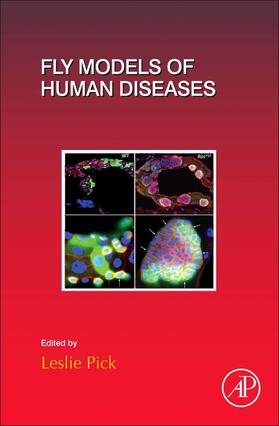  Fly Models of Human Diseases | Buch |  Sack Fachmedien