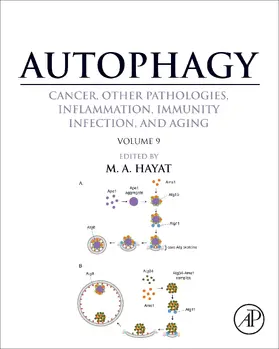 Hayat |  Autophagy: Cancer, Other Pathologies, Inflammation, Immunity, Infection, and Aging | eBook | Sack Fachmedien