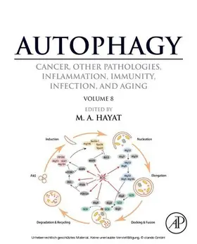 Hayat |  Autophagy: Cancer, Other Pathologies, Inflammation, Immunity, Infection, and Aging | eBook | Sack Fachmedien