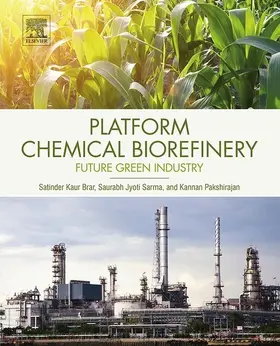 Kaur Brar / Jyoti Sarma / Pakshirajan |  Platform Chemical Biorefinery | eBook | Sack Fachmedien