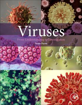 Payne |  Viruses | Buch |  Sack Fachmedien