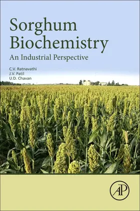 Ratnavathi / Patil / Chavan |  Sorghum Biochemistry | Buch |  Sack Fachmedien