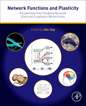 Jing |  Network Functions and Plasticity | Buch |  Sack Fachmedien