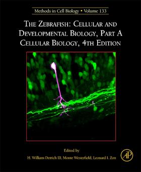 Westerfield / Zon |  The Zebrafish: Cellular and Developmental Biology, Part a Cellular Biology | Buch |  Sack Fachmedien