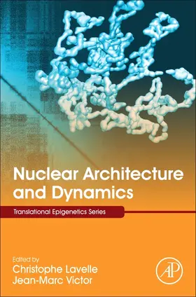 Lavelle / Victor |  Nuclear Architecture and Dynamics | Buch |  Sack Fachmedien