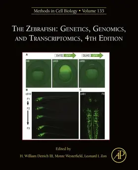 Zon / Westerfield |  The Zebrafish: Genetics, Genomics, and Transcriptomics | eBook | Sack Fachmedien