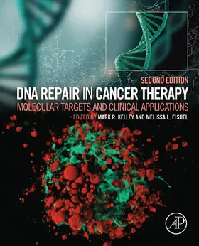 Kelley / Fishel |  DNA Repair in Cancer Therapy | eBook | Sack Fachmedien