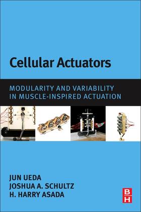 Schultz / Ueda / Asada |  Cellular Actuators | Buch |  Sack Fachmedien