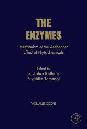 Bathaie |  Mechanism of the Anticancer Effect of Phytochemicals | Buch |  Sack Fachmedien