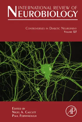 Calcutt / Fernyhough |  Controversies In Diabetic Neuropathy | eBook | Sack Fachmedien