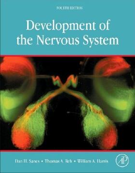 Sanes / Landgraf / Reh |  Development of the Nervous System | Buch |  Sack Fachmedien