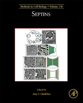 Septins | Buch | 978-0-12-803998-4 | sack.de