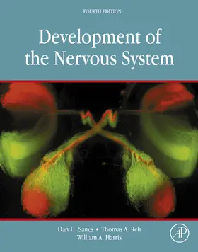 Sanes / Reh / Harris |  Development of the Nervous System | eBook | Sack Fachmedien