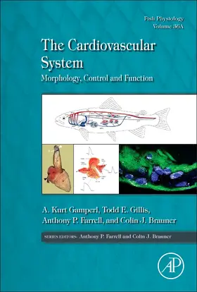 Gamperl / Gillis / Farrell |  The Cardiovascular System | Buch |  Sack Fachmedien