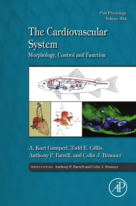 Gamperl / Gillis of Comparative Physiology / Farrell |  The Cardiovascular System | eBook | Sack Fachmedien