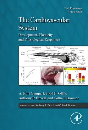 Gamperl / Kurt / Gillis of Comparative Physiology |  The Cardiovascular System | eBook | Sack Fachmedien