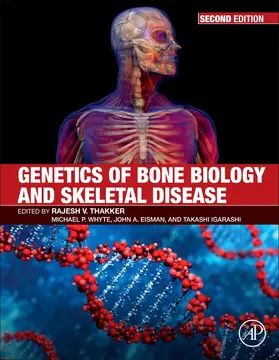 Thakker / Whyte / Eisman |  Genetics of Bone Biology and Skeletal Disease | Buch |  Sack Fachmedien