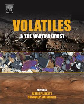 Filiberto / Schwenzer |  Volatiles in the Martian Crust | Buch |  Sack Fachmedien