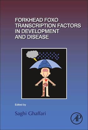  Forkhead FOXO Transcription Factors in Development and Disease | Buch |  Sack Fachmedien