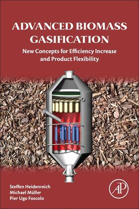 Heidenreich / Müller / Miller |  Advanced Biomass Gasification | Buch |  Sack Fachmedien