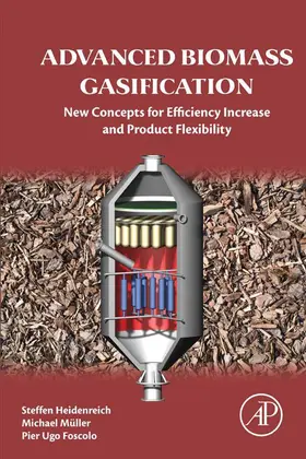 Heidenreich / Müller / Foscolo |  Advanced Biomass Gasification | eBook | Sack Fachmedien