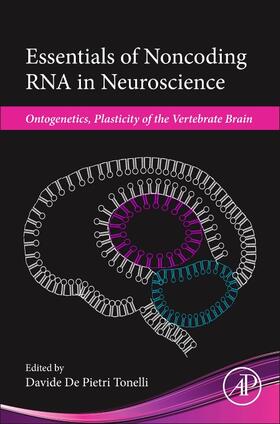 De Pietri Tonelli |  Essentials of Noncoding RNA in Neuroscience | Buch |  Sack Fachmedien