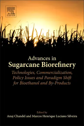 Chandel / Luciano Silveira |  Advances in Sugarcane Biorefinery | Buch |  Sack Fachmedien