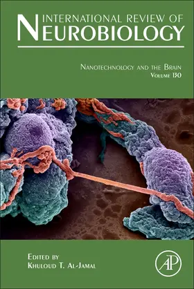  Nanotechnology and the Brain | Buch |  Sack Fachmedien