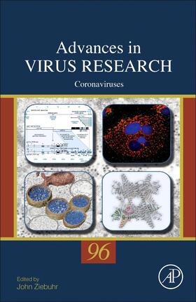 Coronaviruses | Buch | 978-0-12-804736-1 | sack.de