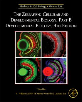Westerfield / Zon |  The Zebrafish: Cellular and Developmental Biology, Part B Developmental Biology | Buch |  Sack Fachmedien