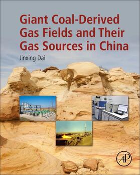 Dai |  Giant Coal-Derived Gas Fields and Their Gas Sources in China | Buch |  Sack Fachmedien