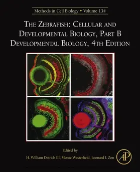 Westerfield / Zon |  The Zebrafish: Cellular and Developmental Biology, Part B Developmental Biology | eBook | Sack Fachmedien