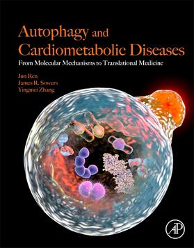 Ren / Sowers / Zhang |  Autophagy and Cardiometabolic Diseases | Buch |  Sack Fachmedien