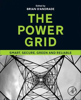 D'Andrade |  The Power Grid | Buch |  Sack Fachmedien