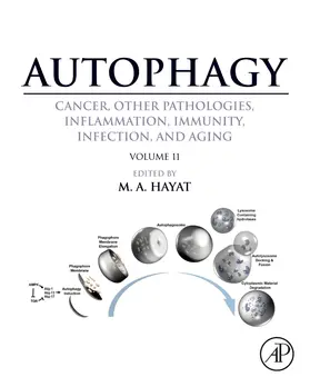 Hayat |  Autophagy: Cancer, Other Pathologies, Inflammation, Immunity, Infection, and Aging | Buch |  Sack Fachmedien