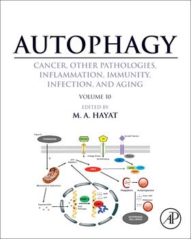 Hayat |  Autophagy: Cancer, Other Pathologies, Inflammation, Immunity | Buch |  Sack Fachmedien