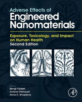 Fadeel / Shvedova | Adverse Effects of Engineered Nanomaterials | Buch | 978-0-12-809199-9 | sack.de