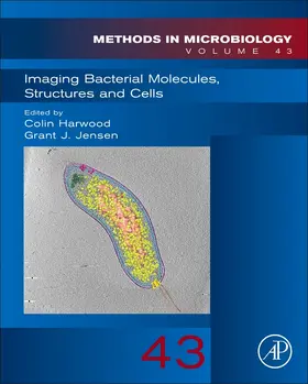  Imaging Bacterial Molecules, Structures and Cells | Buch |  Sack Fachmedien