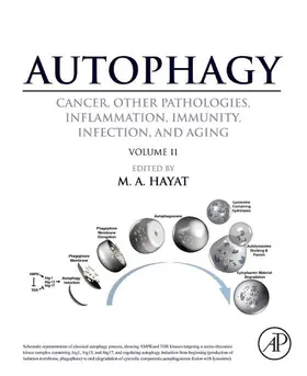 Hayat |  Autophagy: Cancer, Other Pathologies, Inflammation, Immunity, Infection, and Aging | eBook | Sack Fachmedien